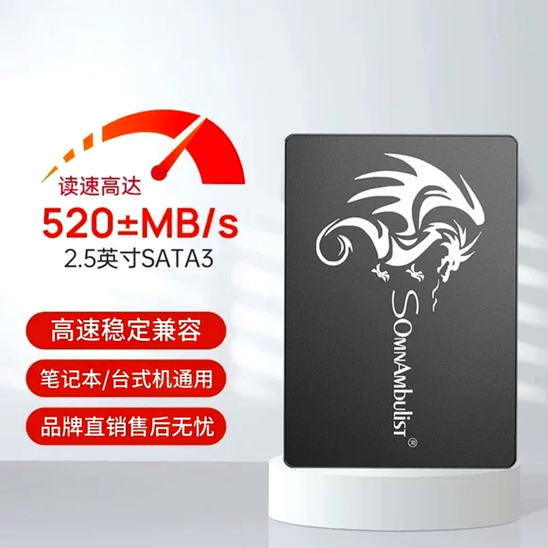 Premium High-Speed SSD Solid State Drive 256GB